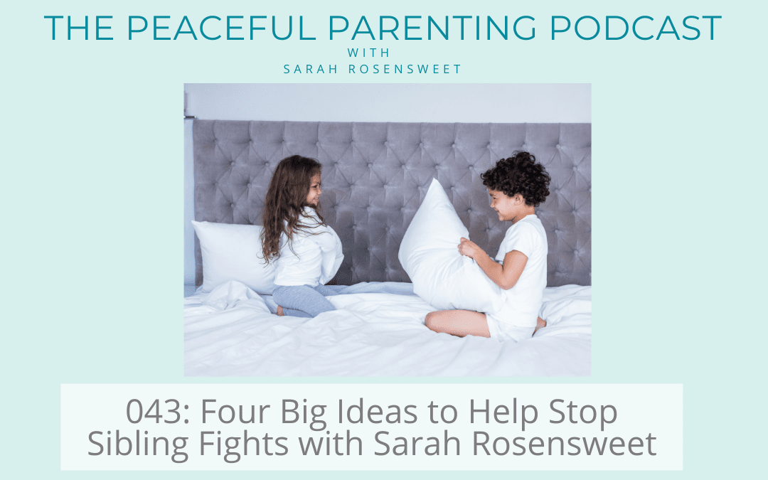 Podcast Episode 43: Four Big Ideas to Help Stop Sibling Fights with Sarah Rosensweet